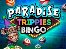 Bingo Gatinho by Caleta Free Demo Play