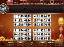 free bingo slots no download