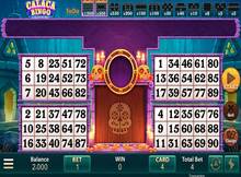 free bingo slots no download