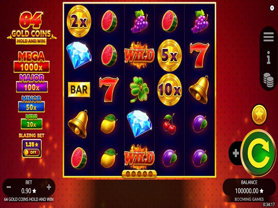 64 Gold Coins Hold and Win screenshot