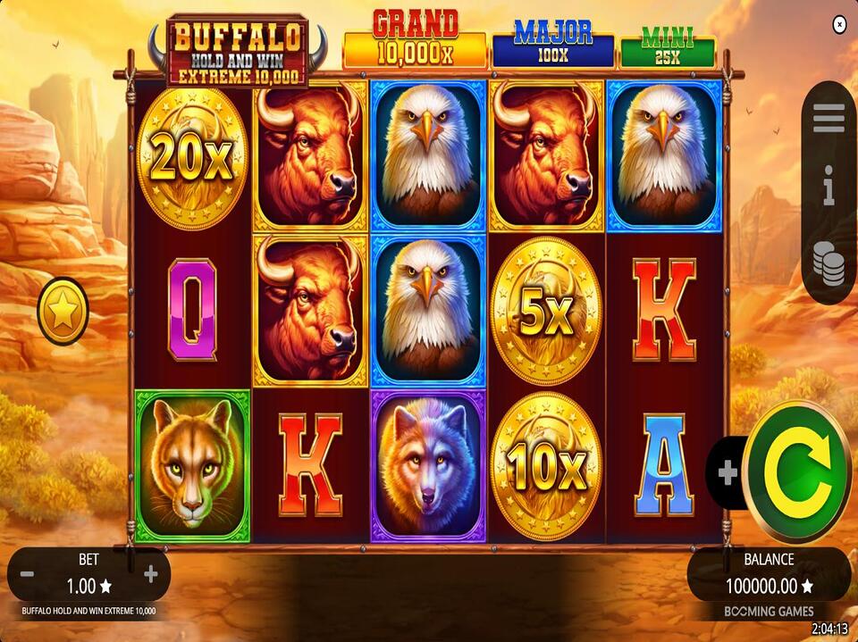 Buffalo Hold and Win Extreme 10000 screenshot