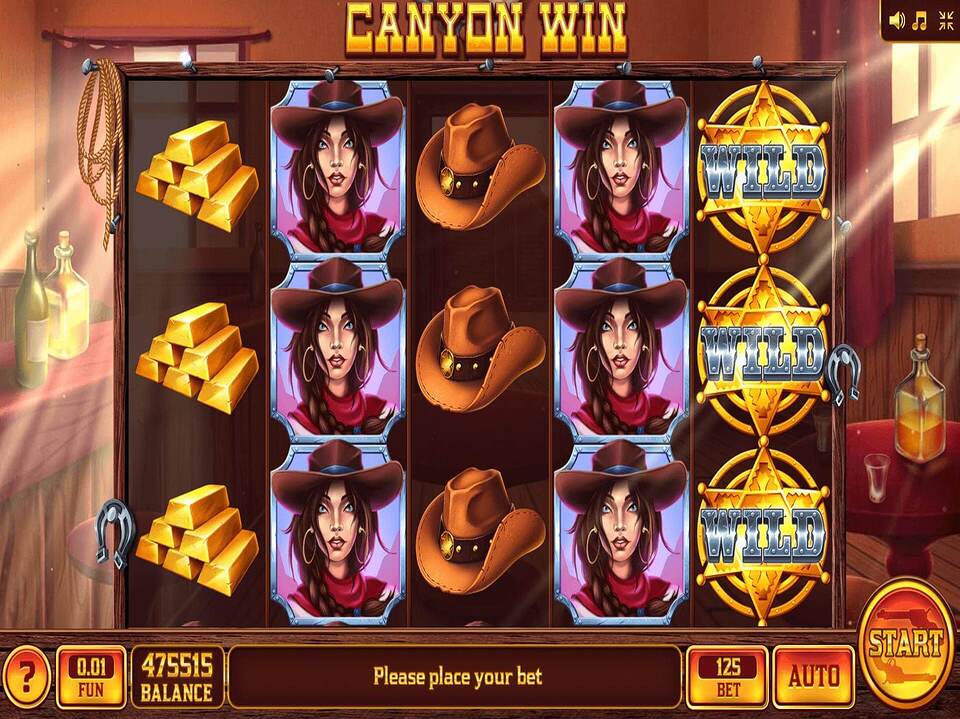 Canyon Win screenshot