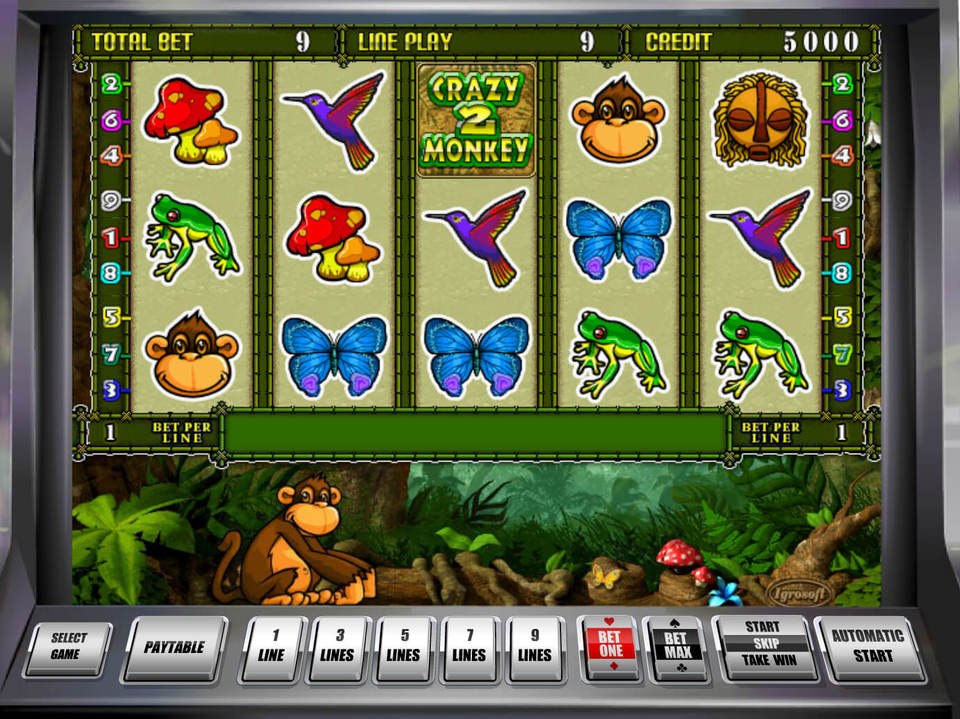 Crazy Monkey 2 screenshot