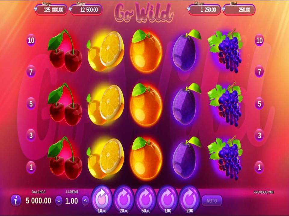 Gamzix Go Wild screenshot