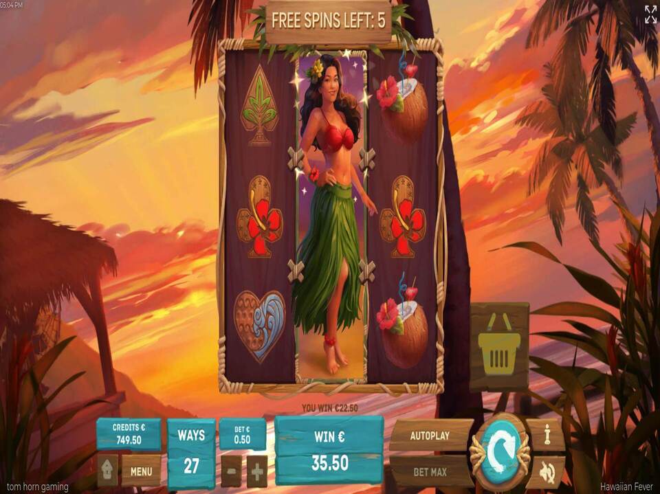 Hawaiian Fever screenshot