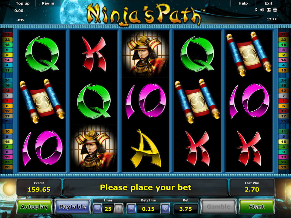 Ninjas Path screenshot