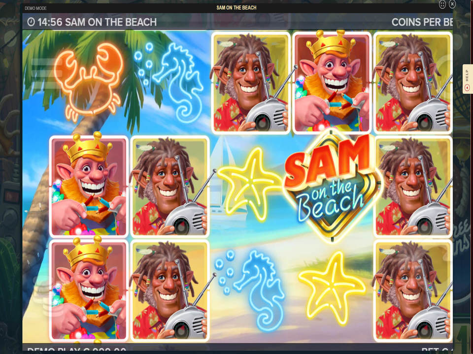 Sam On The Beach screenshot