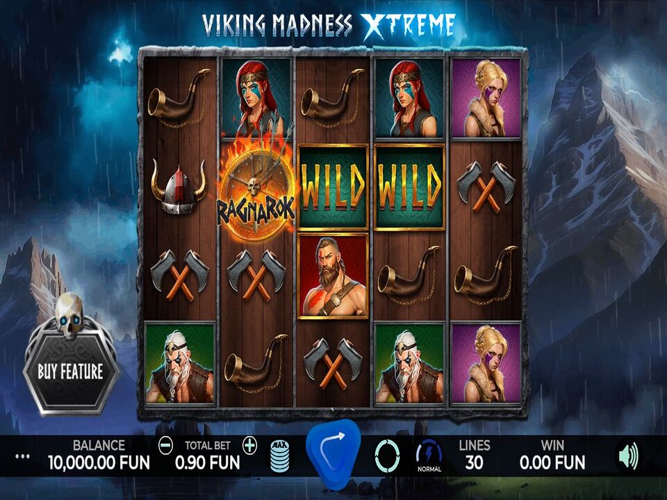 Viking Madness Xtreme screenshot