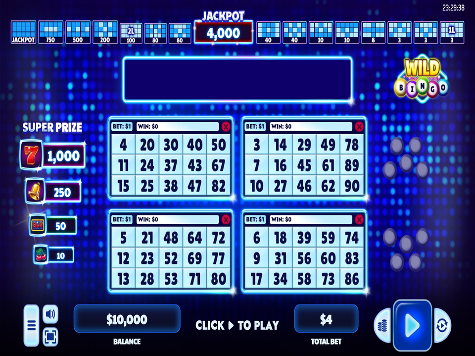 Wild Bingo screenshot