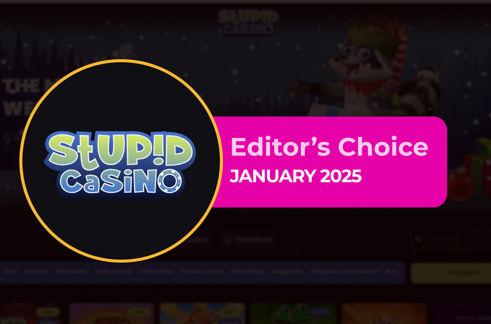 Stupid Casino - Editor’s Choice January 2025